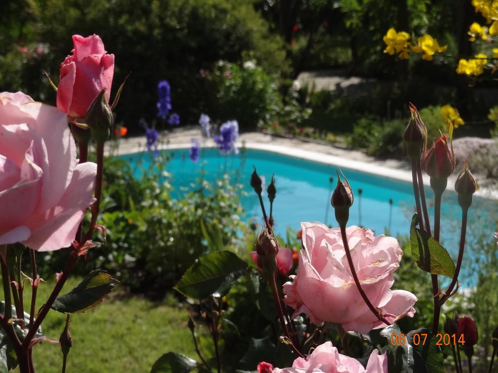 Quinta Das Delicias São Tiaguinho Dış mekan fotoğraf