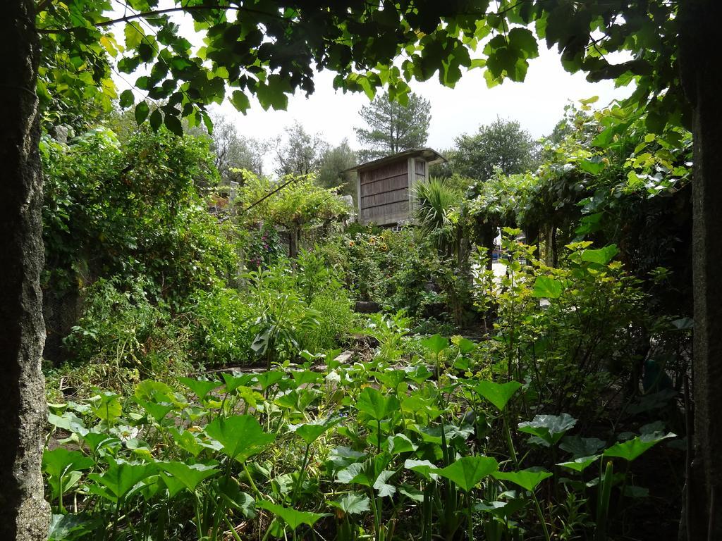 Quinta Das Delicias São Tiaguinho Dış mekan fotoğraf